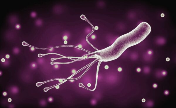 Helicobacter-pylori-facts-page