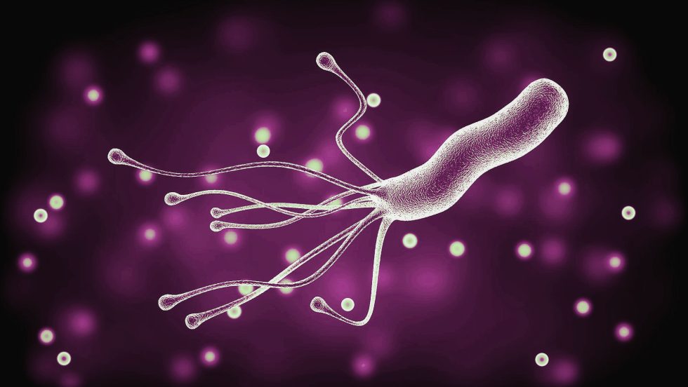 Helicobacter-pylori-facts-page