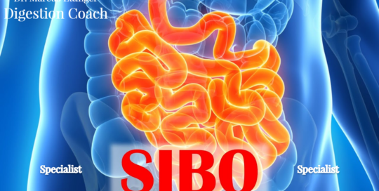 SIBO-Specialist-in-Orange-County-Dr.-Marcus-Ettinger