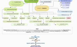 Pantothenate: Microbiome-Mediated Regulation and Strategies to Combat Sugar Cravings