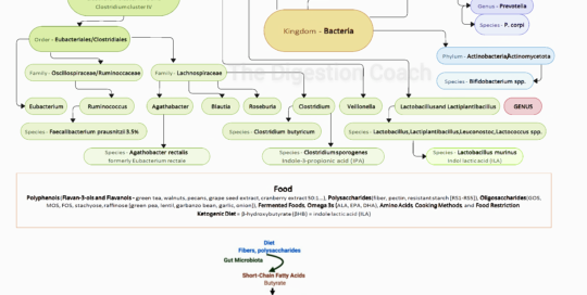 Pantothenate: Microbiome-Mediated Regulation and Strategies to Combat Sugar Cravings