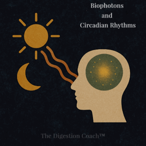 Gut Microbiome Biophotons and Circadian Rhythms 